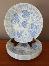 6 ASSIETTES PLATES 21,5 CM  B