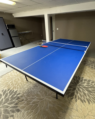 Sportspower indoor tennis ping - sportspower,