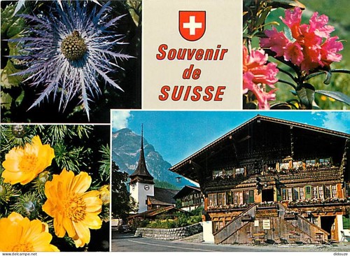 Carte postale suisse autre - carte,