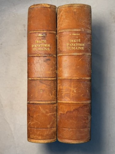 Traité anatomie humaine - traité, d’anatomie