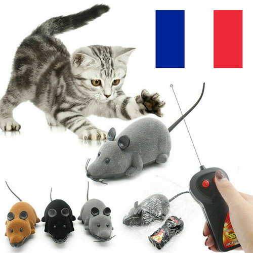 Souris rat téléguidé - /,