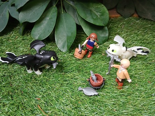 Dreamworks dragons playmobil - dreamworks,