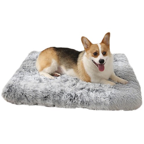 Coussin chien matelas - coussin,