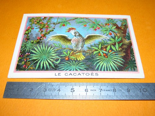 Chromo bon point ecole - chromo,