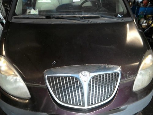 Capot lancia musa phase - musa,