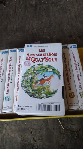 Lot cassettes vhs - cassettes, amis