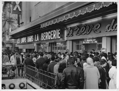 Cinema rex loups dans - rex, la