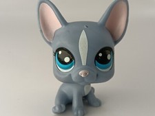 petshop authentic LPS Chien Bouledogue Dog rare PC 62 Buster Brindle hasbro