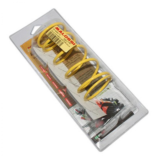 Ressort embrayage malossi - ressort,