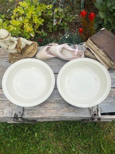 Plats creux sarreguemines - 2,