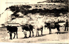 CORSE CORSICA - BONIFACIO - LE