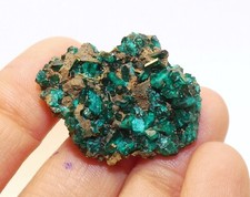 Minéraux Collection - Top Dioptase - Congo - 10g