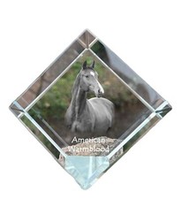 Collier Pendentif « Americain