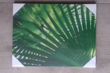 Cadre toile feuilles Ikea, 30x40 cm