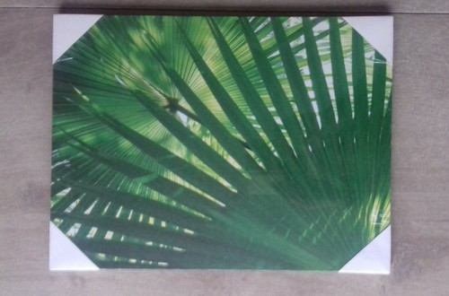 Cadre toile feuilles ikea - cadre,