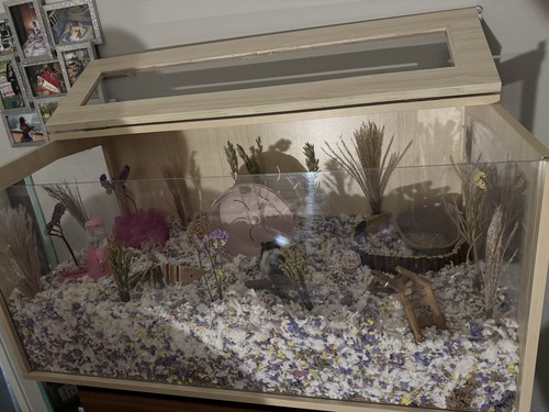 Large wooden hamster cage - wooden,