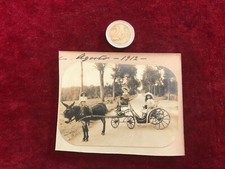 photographie ancienne attelage N15 ane