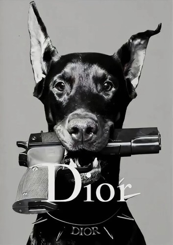 Dior affiche vintage - dior,