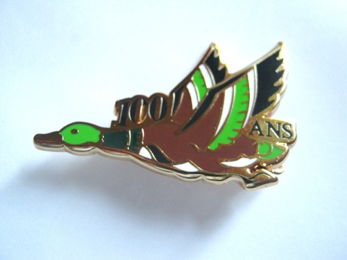Armee air anniversaire - l'air,