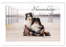 Herzensshelties - Chiens de