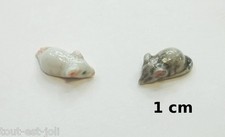 souris miniature,maison de