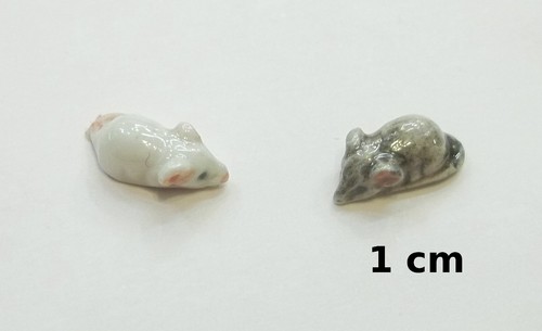 Souris miniature maison - souris, de