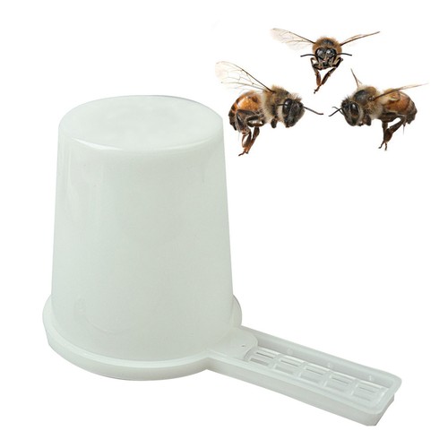 Nourrisseur ruche abeille - nourrisseur,