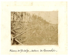 France, Réseau de fils de fer. Secteur de Courmelois  vintage silver print, WW I