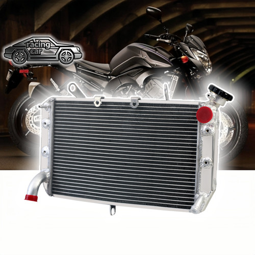 Radiateur pour 2006 - pour, 08