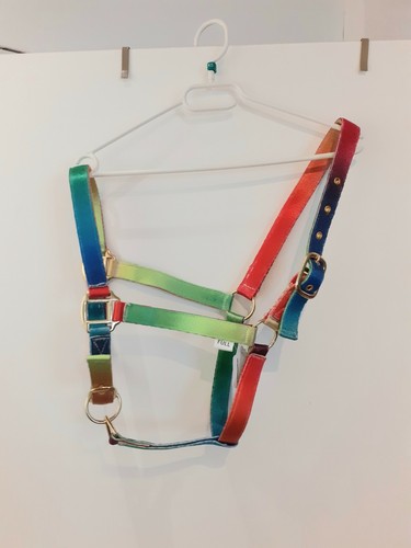 Licol polycolore coloris - licol, fait