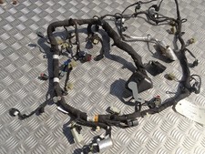 Faisceau moteur coyote 5.0l