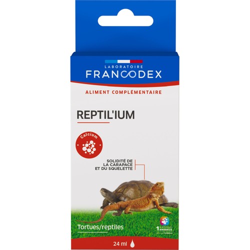 Reptil ium solidité de - 24,