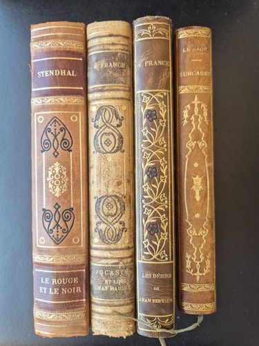 Lot livres anciens reliure - livres,