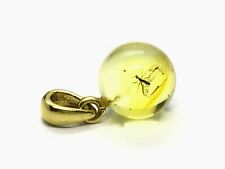 Pendentif Ambre Fossile INSECT