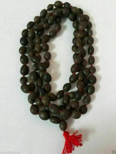 Graines lotus perles - graines,