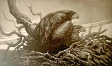 Tableau ancien estampe Art