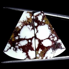 22.70Cts Naturel Sauvage