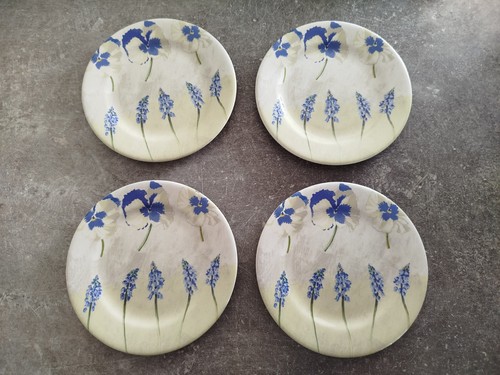 Assiettes plates faïence - 4,