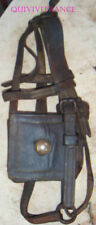 EQ3000 - Filet ancien - licol  -  oeillères -  WW1 US army