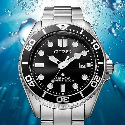 Citizen bn0261 51e - bn0261-51e, promaster
