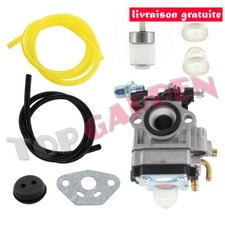 Carburateur et Tuyau Filtre