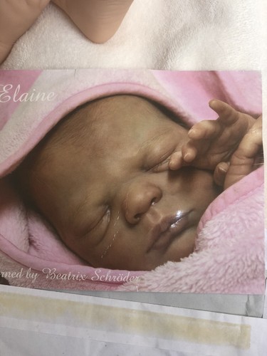 Elaine reborn doll kit - , by