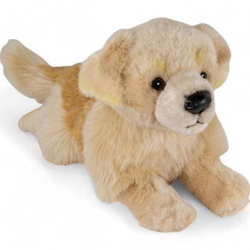 Carl dick golden retriever - carl,