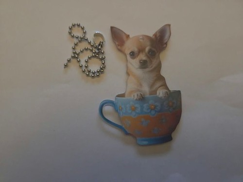 Chihuahua dog teacup - chihuahua,