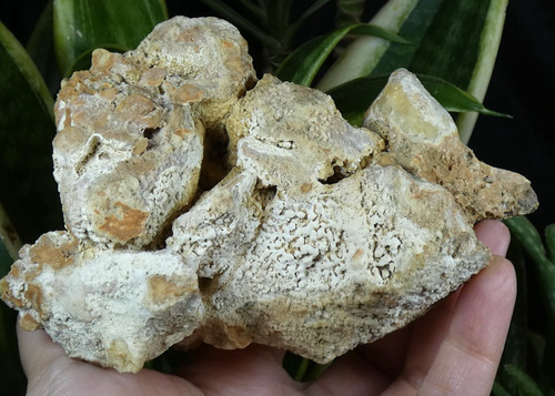 Silex chert calcaire - ou,