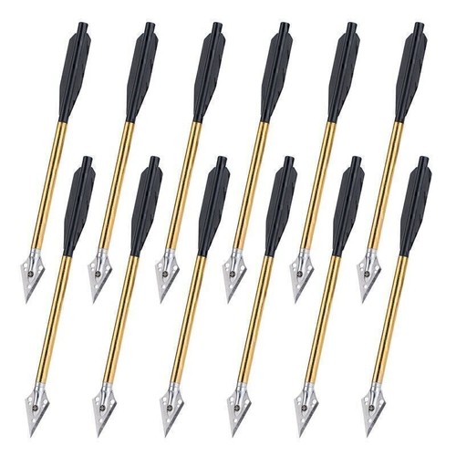Flèches aluminium avec - flèches, en