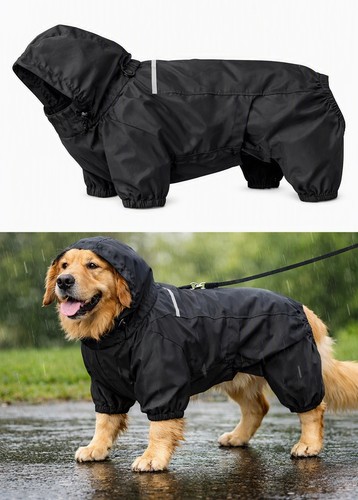 Chien équipe pour - un,
