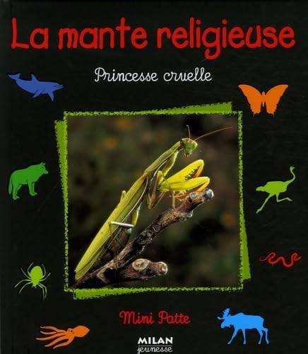 Mante religieuse princesse - religieuse:,