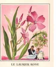 CARTE LE LANGAGE DES FLEURS LE LAURIER ROSE JEAN ADRIEN MERCIER