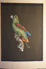 GRAVURE COULEUR GOUACHE